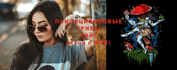 гашик Балахна
