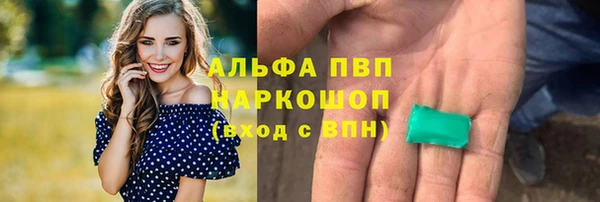 гашик Балахна