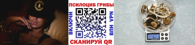 Галлюциногенные грибы Psilocybine cubensis даркнет сайт Гурьевск